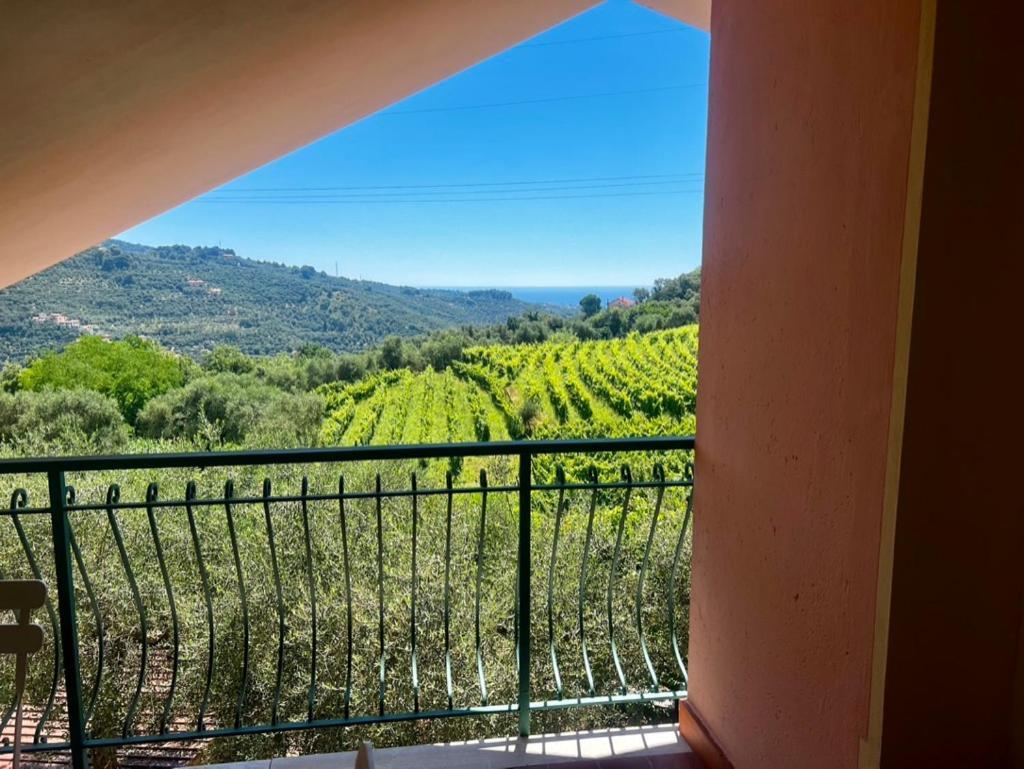 Agriturismo Ada Musso Ss Diano Borello Buitenkant foto