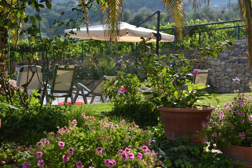 Agriturismo Ada Musso Ss Diano Borello Buitenkant foto