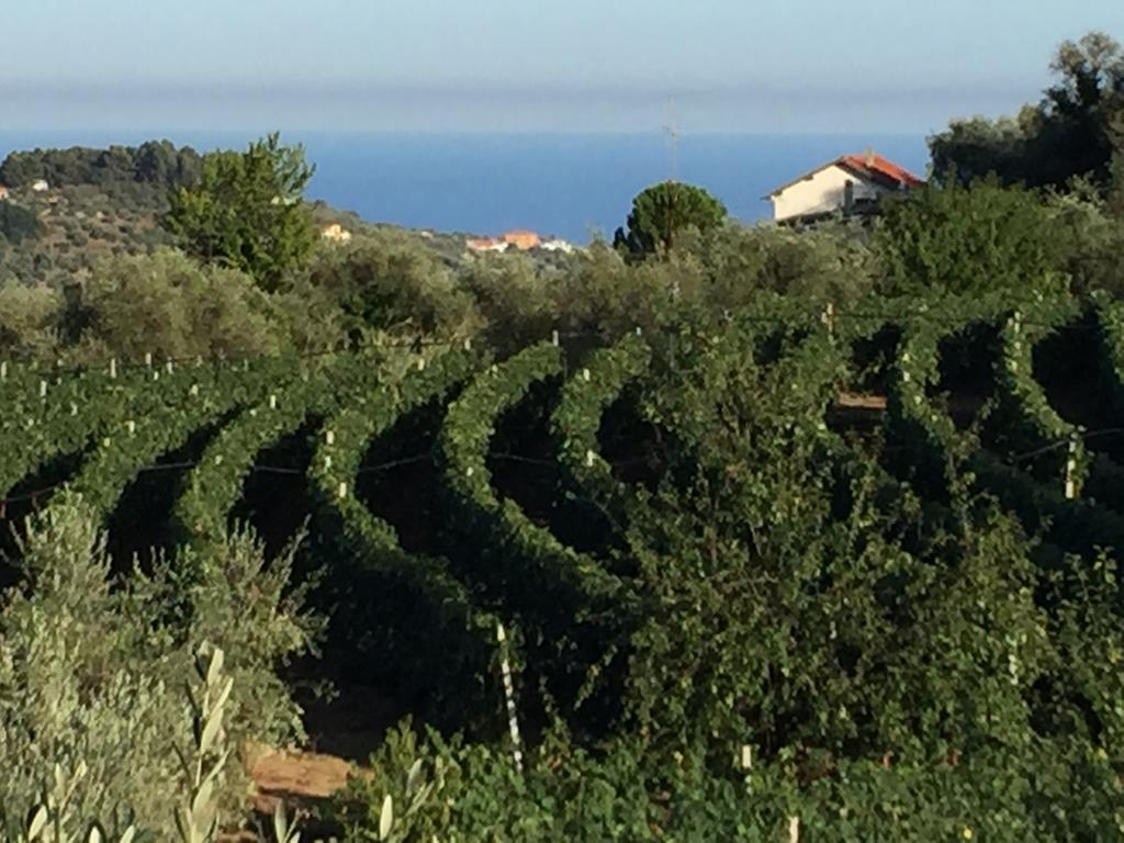 Agriturismo Ada Musso Ss Diano Borello Buitenkant foto