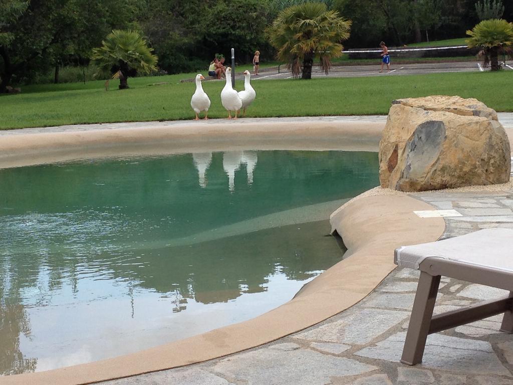 Agriturismo Ada Musso Ss Diano Borello Buitenkant foto