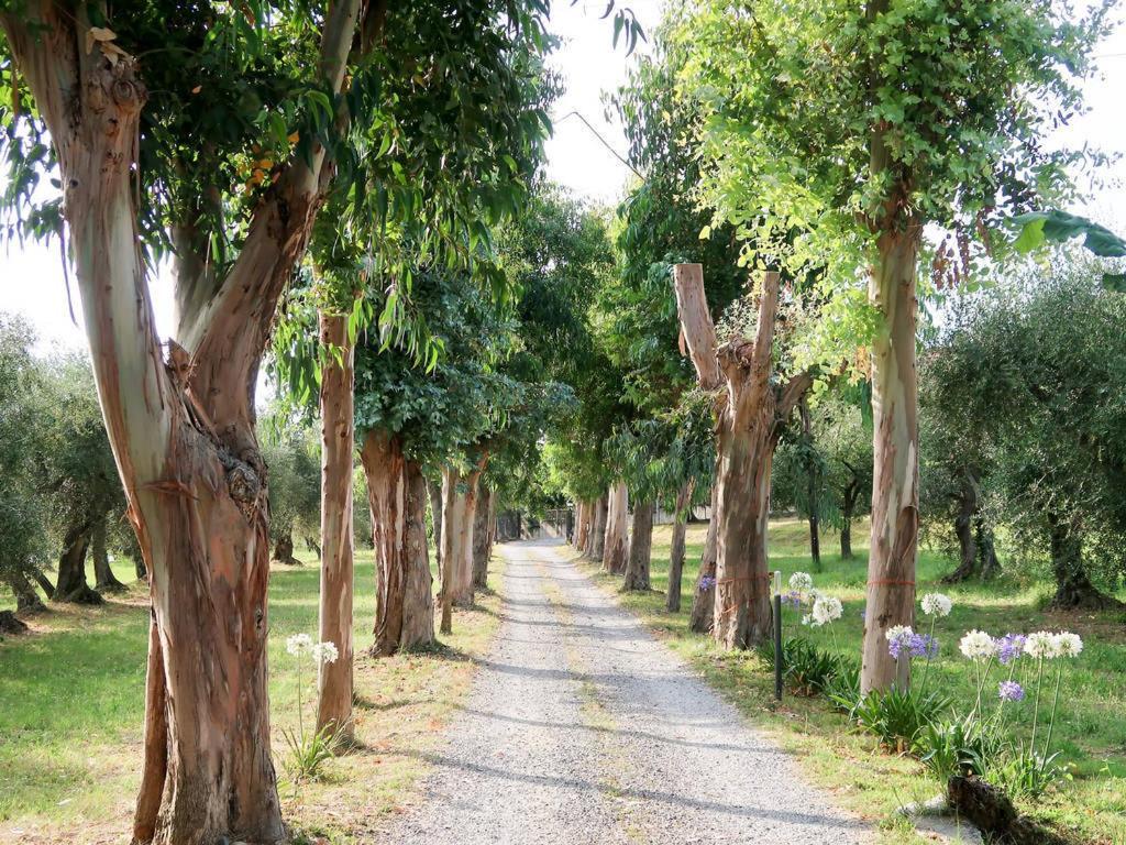 Agriturismo Ada Musso Ss Diano Borello Buitenkant foto