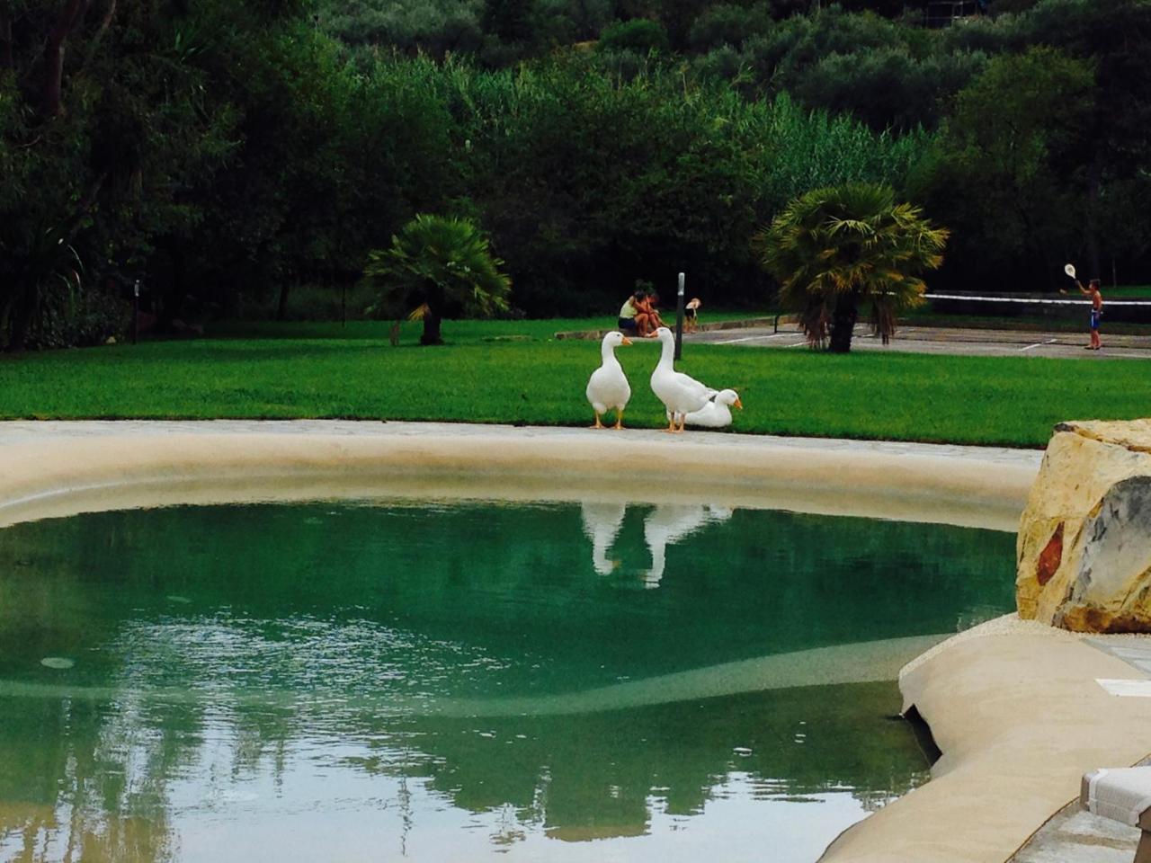 Agriturismo Ada Musso Ss Diano Borello Buitenkant foto