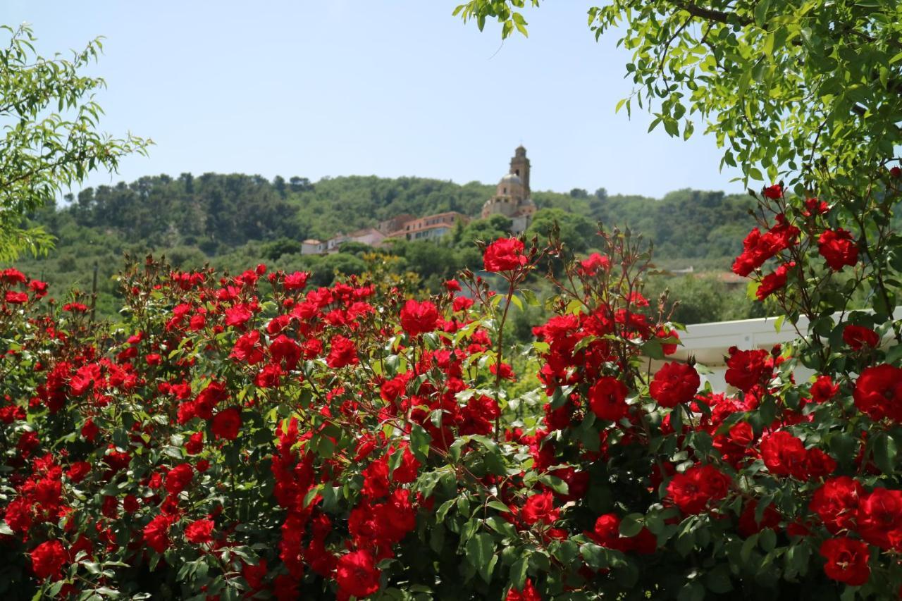 Agriturismo Ada Musso Ss Diano Borello Buitenkant foto